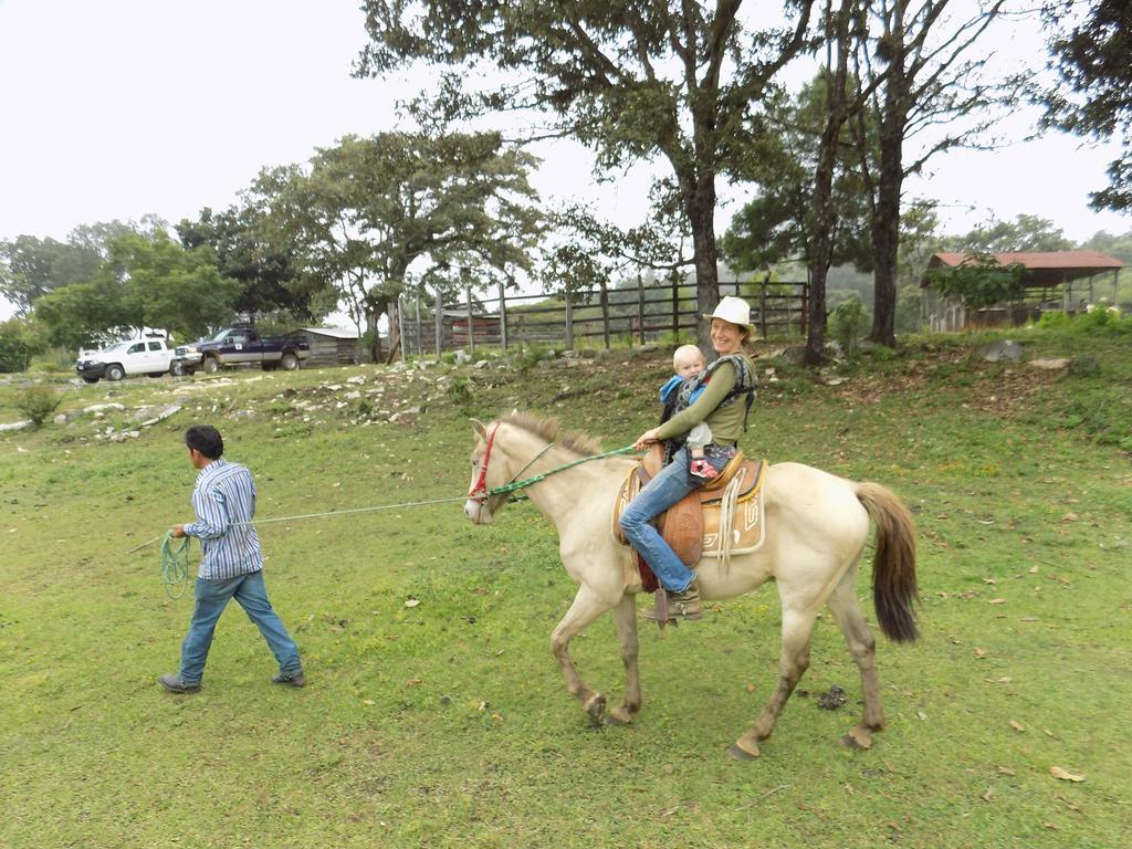 Rancho Hostal La Escondida Eco Park Teopisca Eksteriør billede