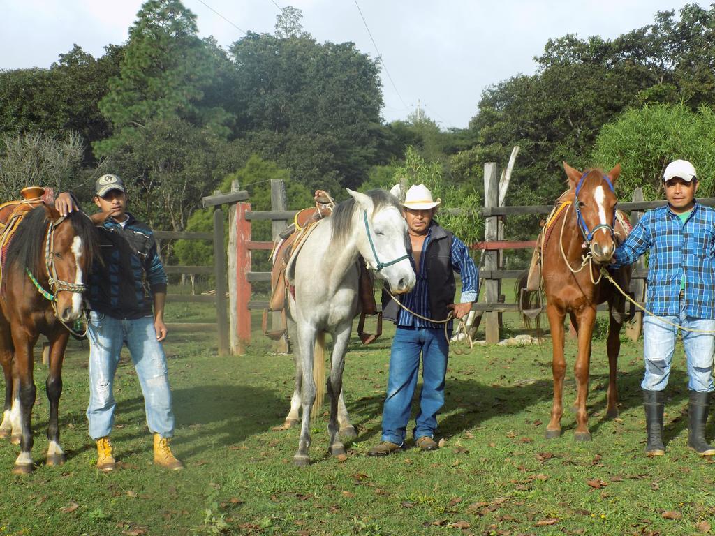 Rancho Hostal La Escondida Eco Park Teopisca Eksteriør billede